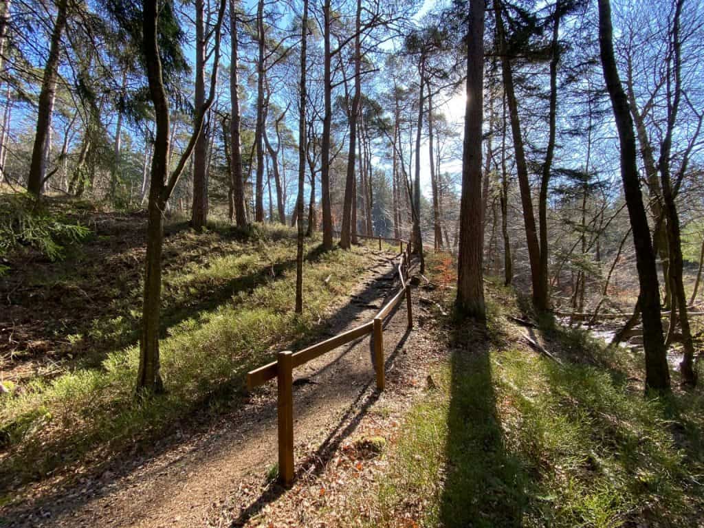 Wanderung durch das Hohe Venn Eifel - Walk & Wonder