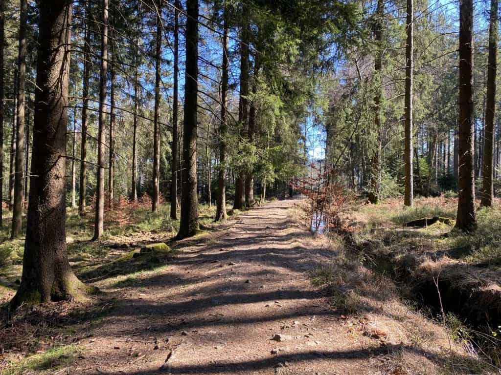 Wanderung durch das Hohe Venn Eifel - Walk & Wonder