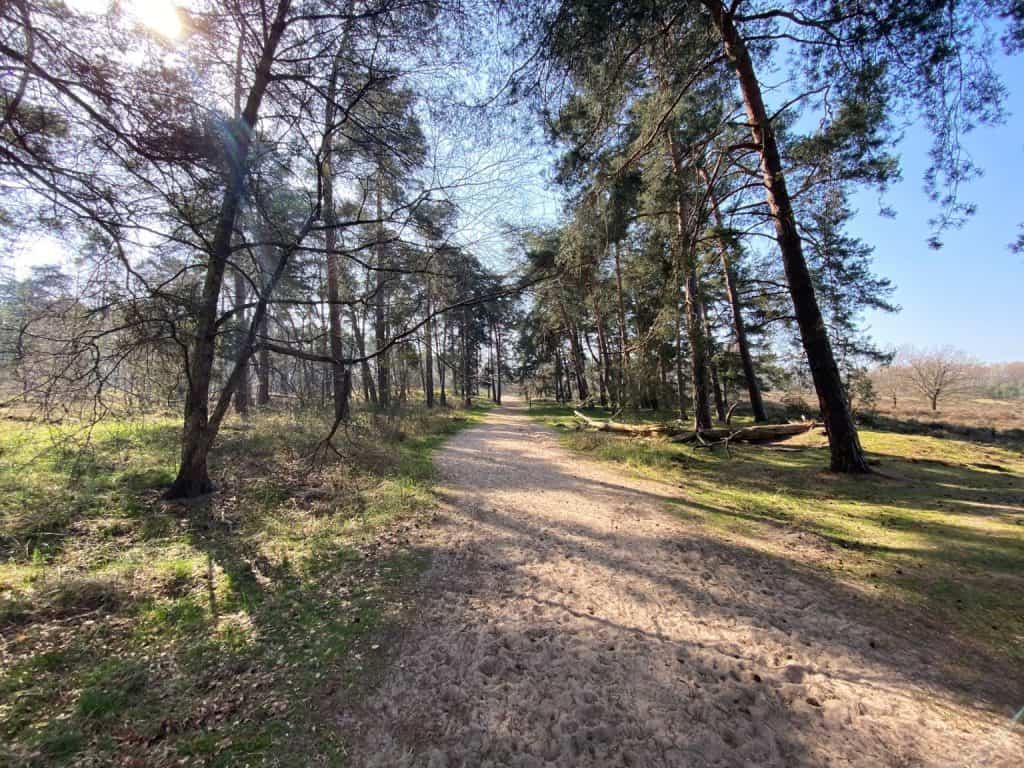 Leyenweiher Wahner Heide - Walk & Wonder