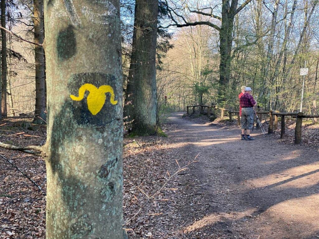 Leyenweiher Wahner Heide - Walk & Wonder