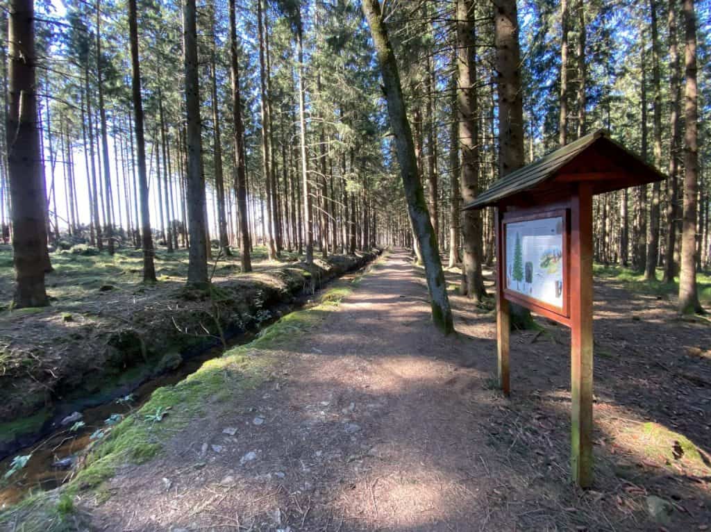 Wanderung durch das Hohe Venn Eifel - Walk & Wonder