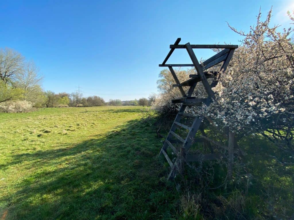 Fliegenberg Tour Wahner Heide - Walk & Wonder