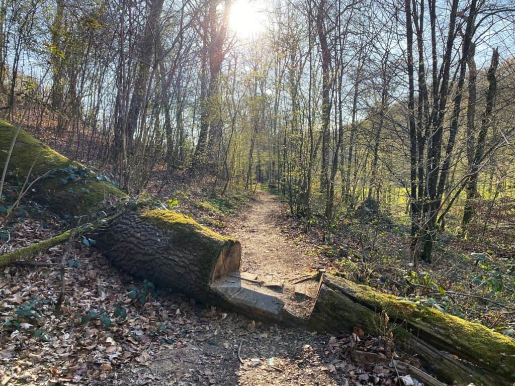 Naafbachtal Lohmar - Walk and Wonder