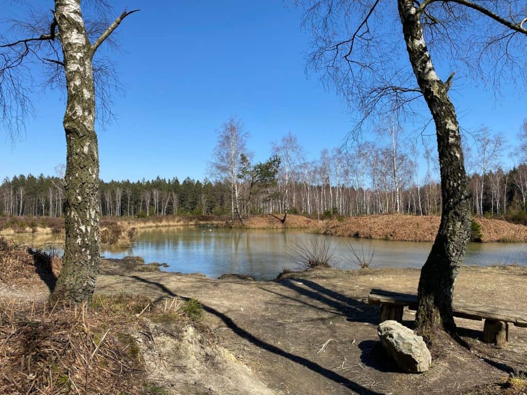 Naturschutzgebiet Struffelt Hohes Venn Eifel - Walk & Wonder