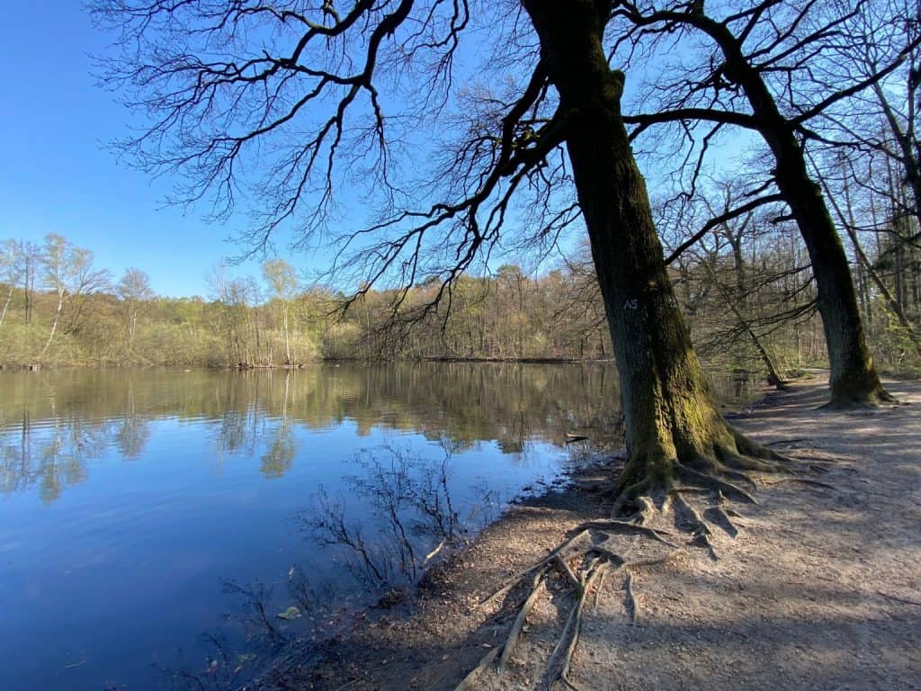 Leyenweiher Wahner Heide - Walk & Wonder