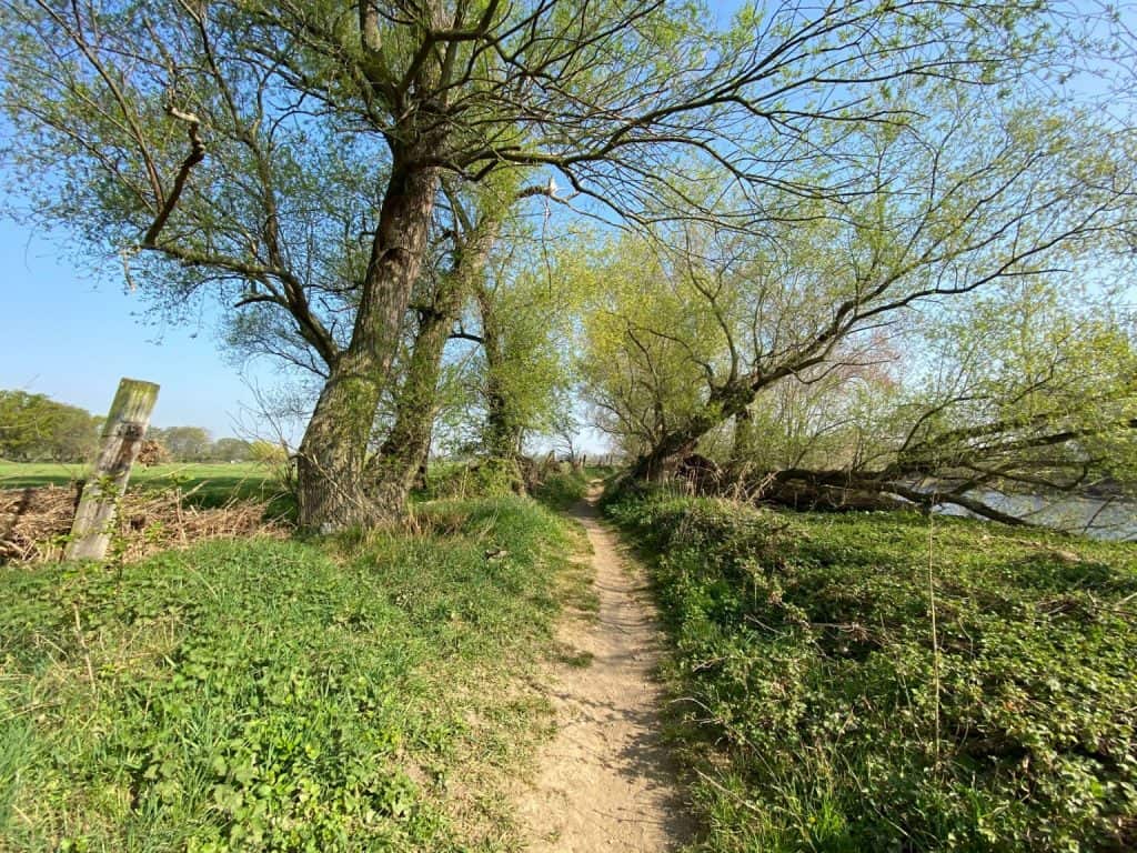 Sieglarer See Rundwanderung - Walk and Wonder