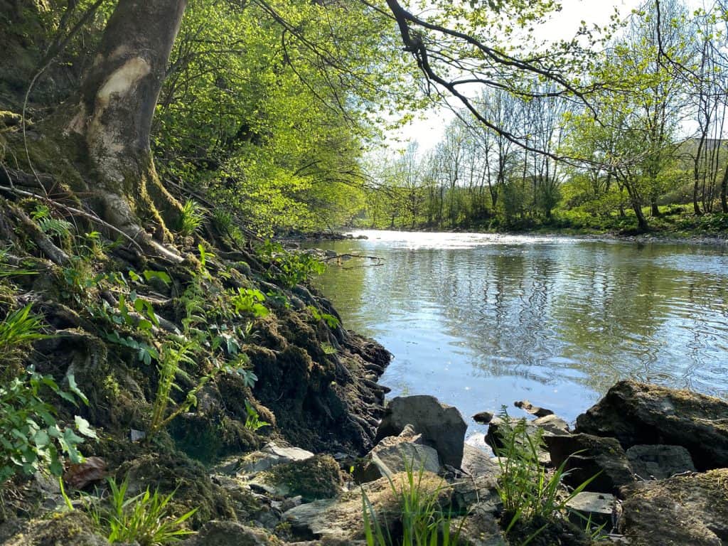 Wanderung entlang der Agger in Overath - Walk and Wonder