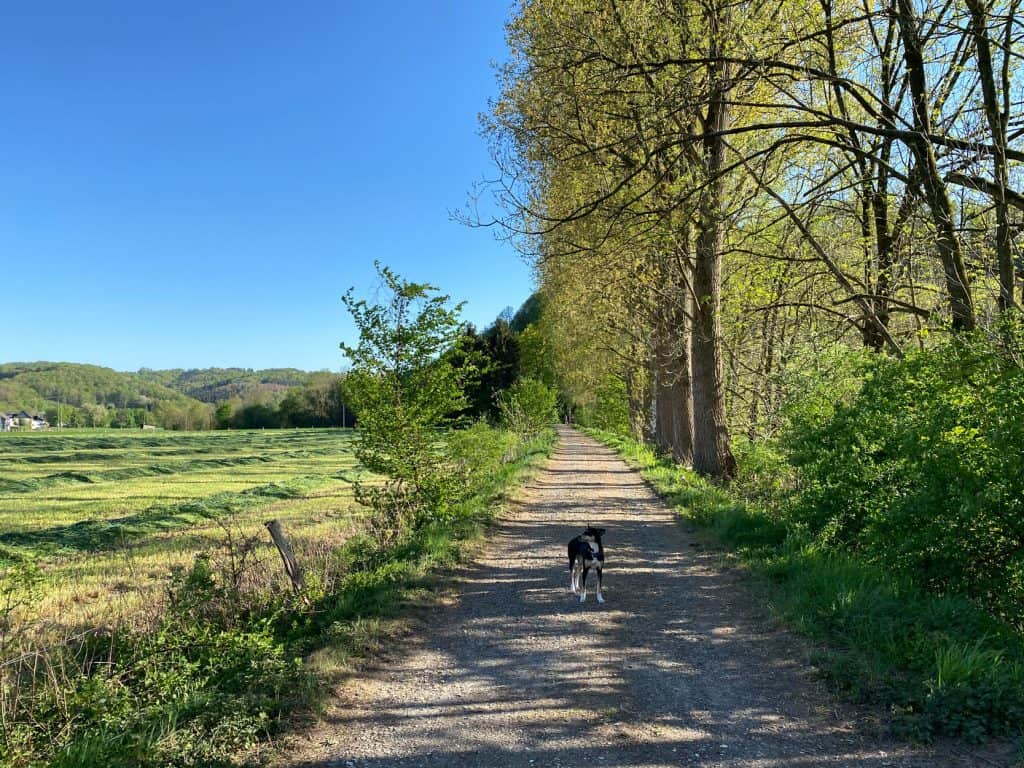 Wanderung entlang der Agger in Overath - Walk and Wonder