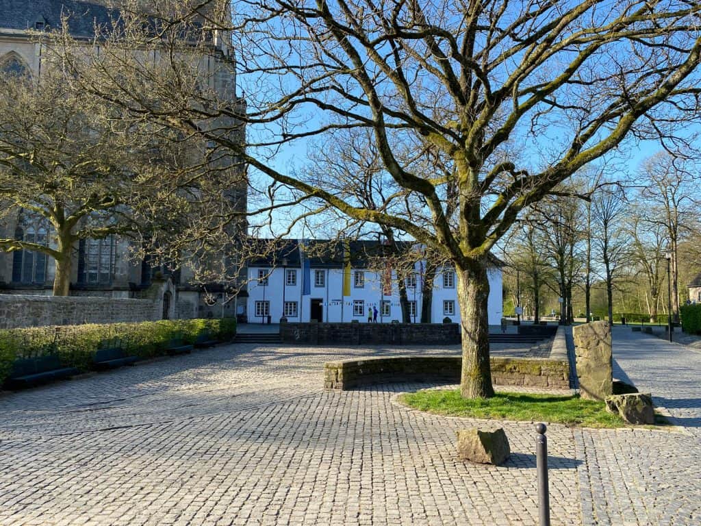 Odenthal Waldrunde um den Altenberger Dom - Walk and Wonder