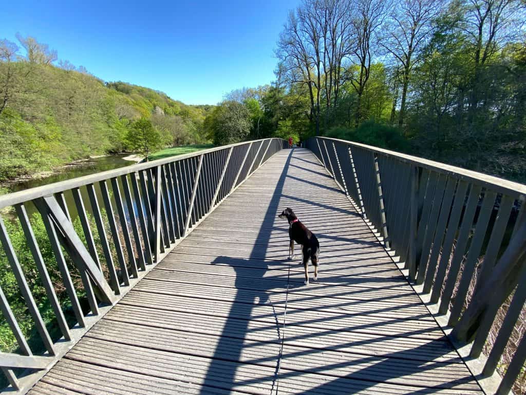 Gut Eichthal - Wanderung entlang der Agger in Overath - Walk and Wonder