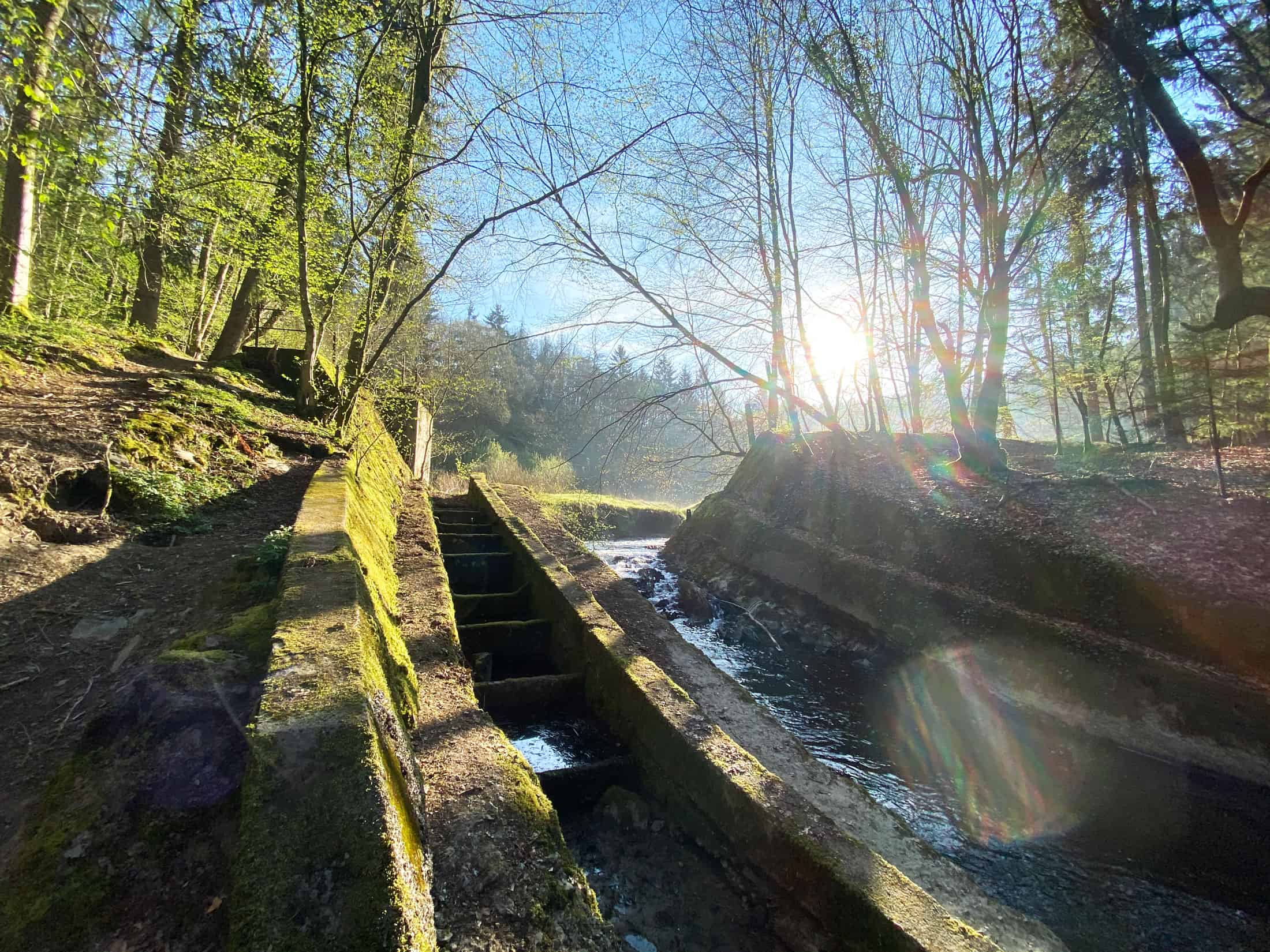 Burscheid Eifgenbachtal Wanderung - Walk & Wonder