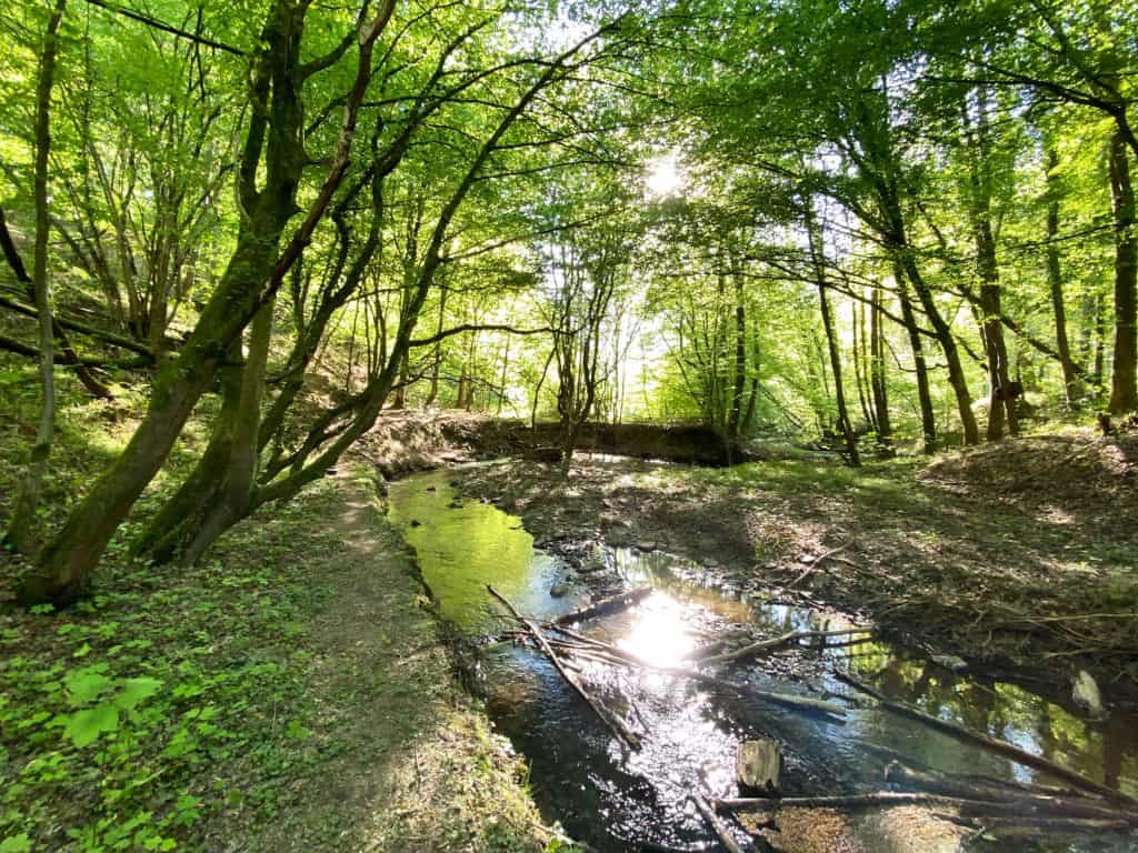 Entlang des Weltersbachs in Leichlingen - Walk and Wonder