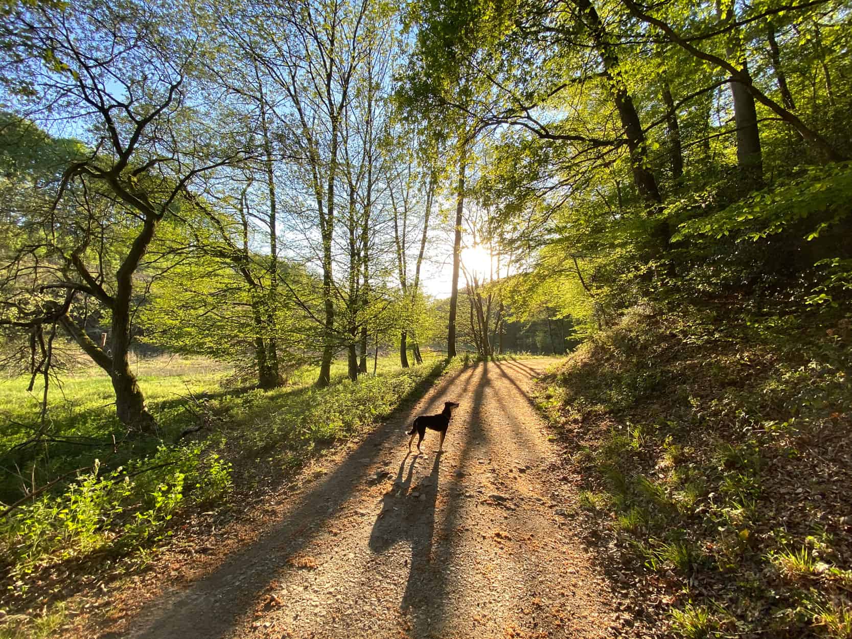 Entlang des Weltersbachs in Leichlingen - Walk and Wonder