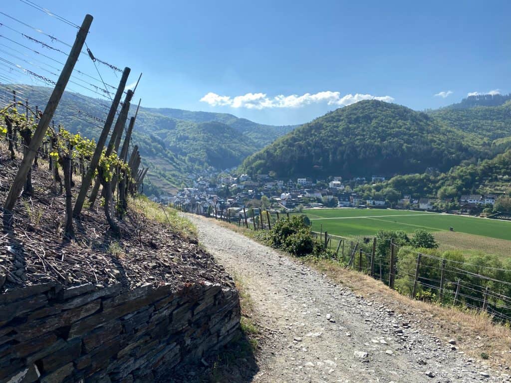 Wanderung in Mayschoß im Ahrtal - Walk and Wonder