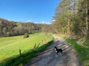 Naafbachtal Lohmar - Walk and Wonder