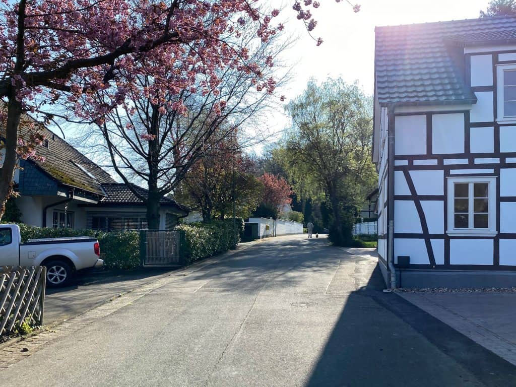 Odenthal Waldrunde um den Altenberger Dom - Walk and Wonder