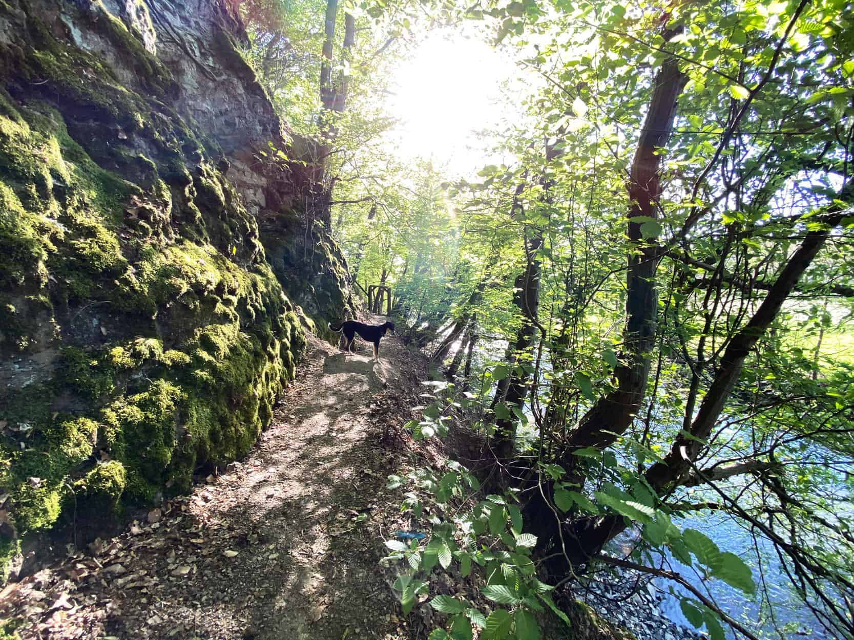 Wanderung entlang der Agger in Overath - Walk and Wonder