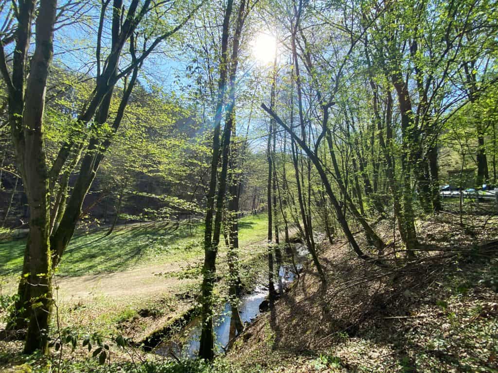 Wanderung um die Sengbachtalsperre - Walk and Wonder