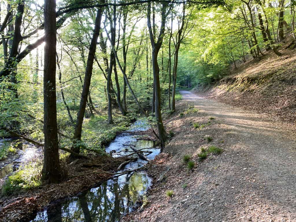 Entlang des Weltersbachs in Leichlingen - Walk and Wonder