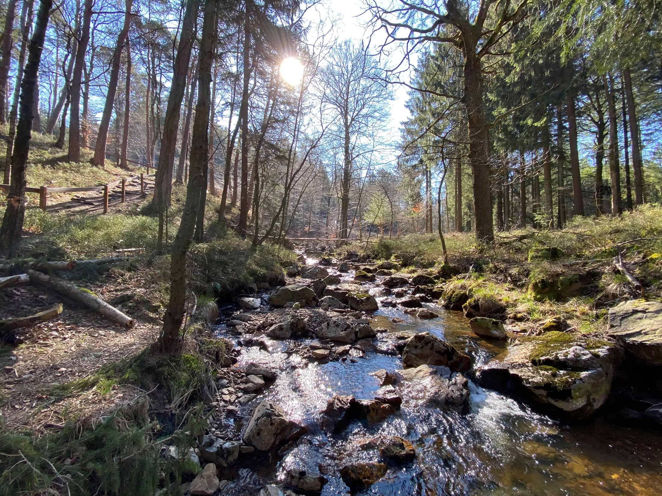 Eifel Wanderung Struffeltroute - Walk and Wonder