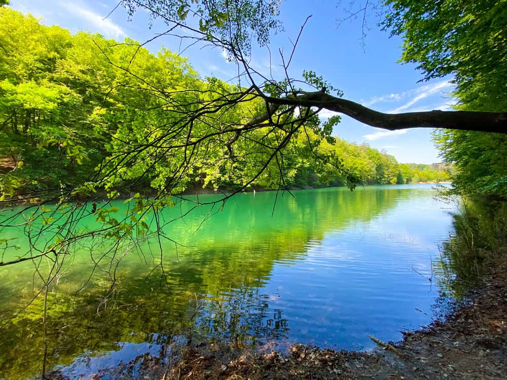 Wahnbachtalsperre türkises Wasser - Walk & Wonder