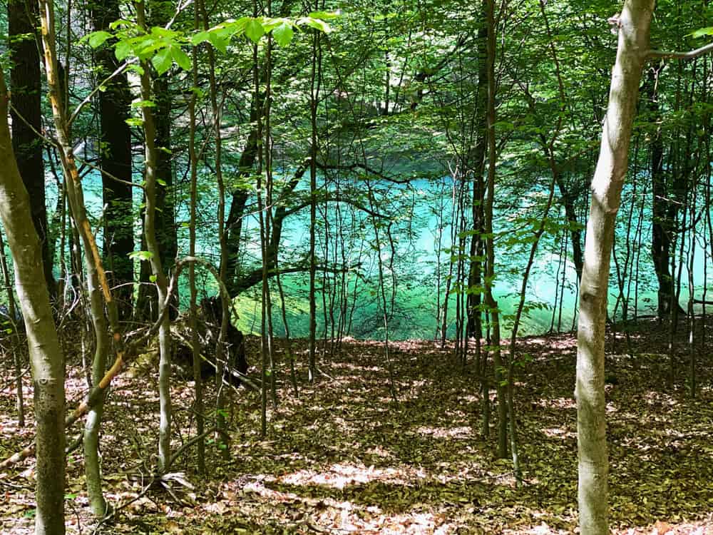 Wahnbachtalsperre türkises Wasser - Walk & Wonder