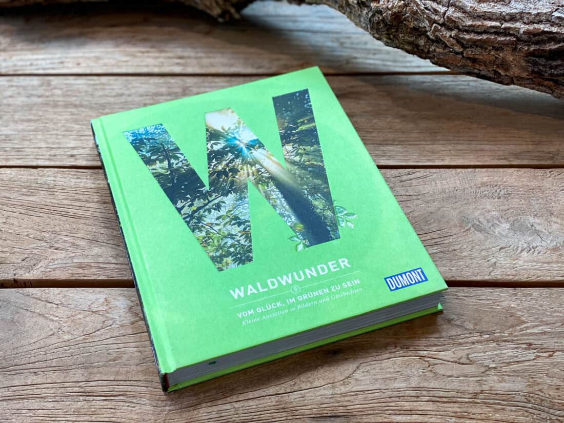 Waldwunder Buchtipp - Walk and Wonder