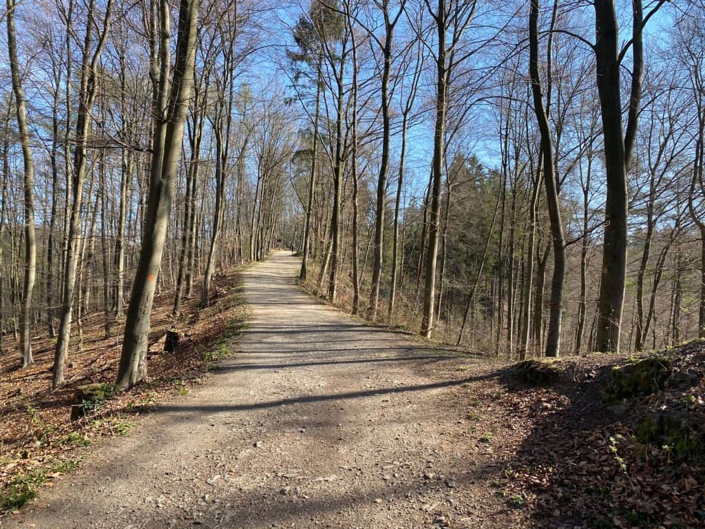 Wanderung um die Sengbachtalsperre - Walk and Wonder