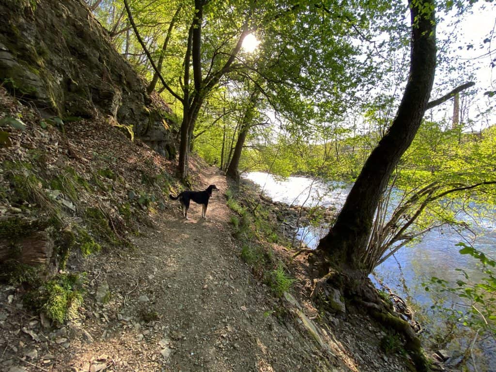 Wanderung entlang der Agger in Overath - Walk and Wonder