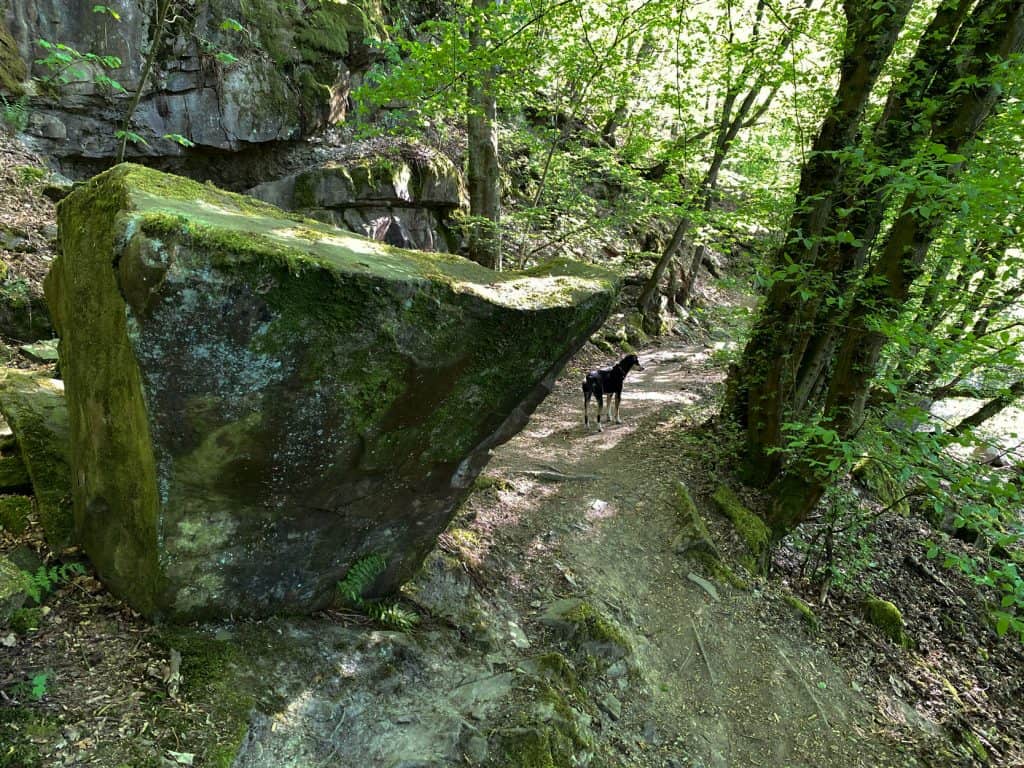 Wanderung entlang der Agger in Overath - Walk and Wonder