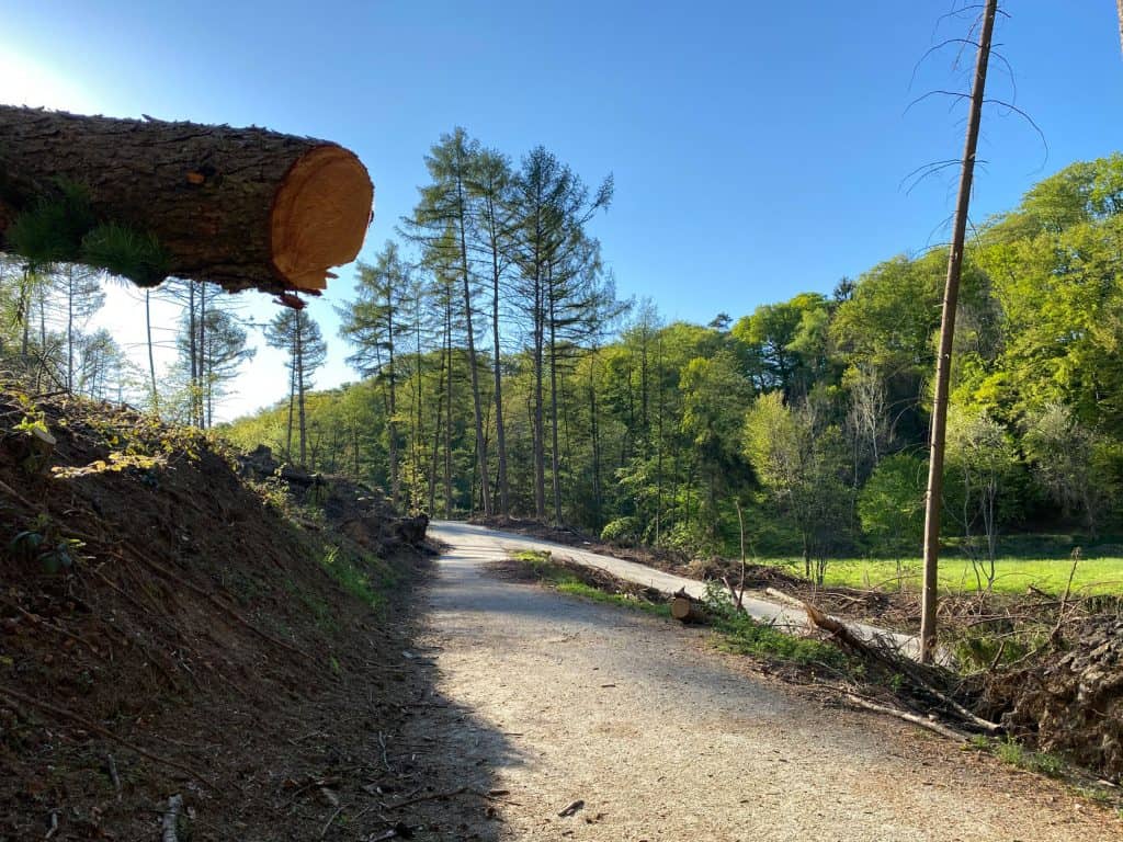 Entlang des Weltersbachs in Leichlingen - Walk and Wonder