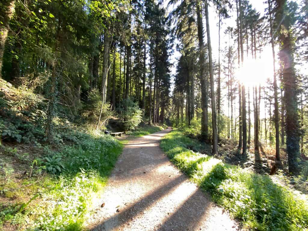 Entlang des Weltersbachs in Leichlingen - Walk and Wonder