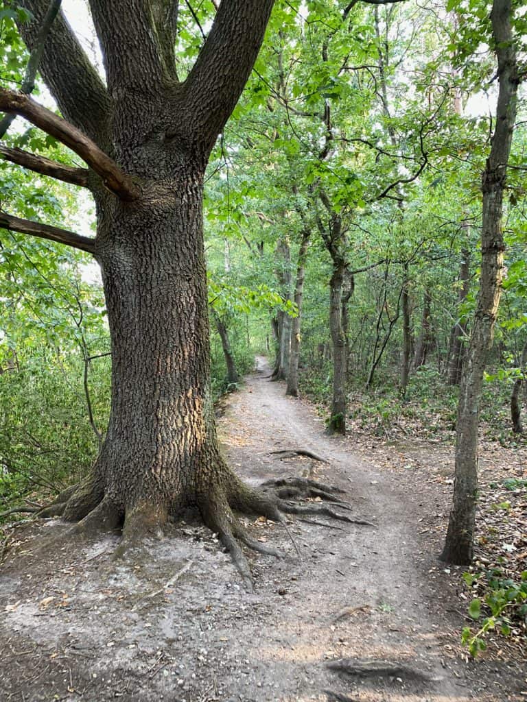 Naturschutzgebiet Am Hornpottweg Leverkusen - Walk and Wonder