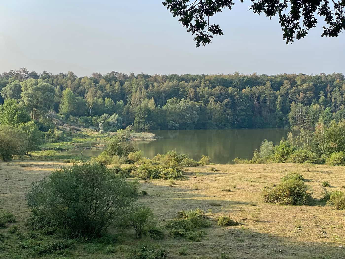 Naturschutzgebiet Am Hornpottweg Leverkusen - Walk and Wonder