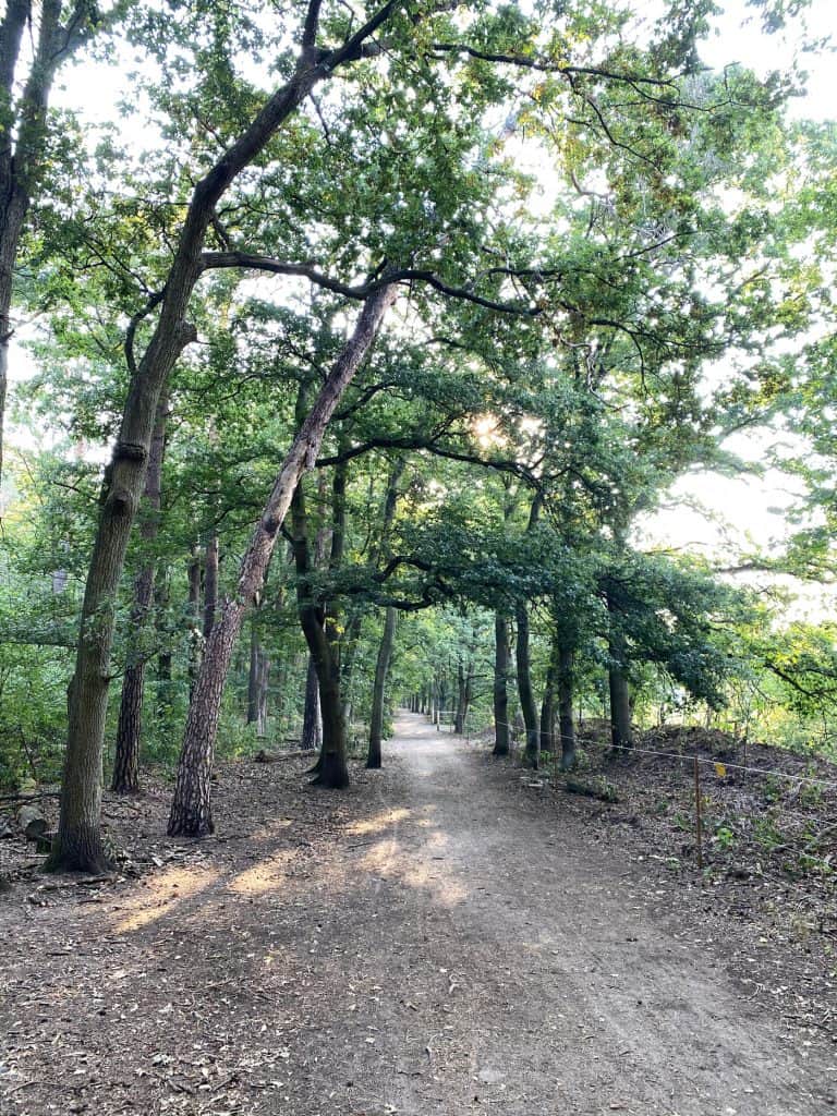 Naturschutzgebiet Am Hornpottweg Leverkusen - Walk and Wonder