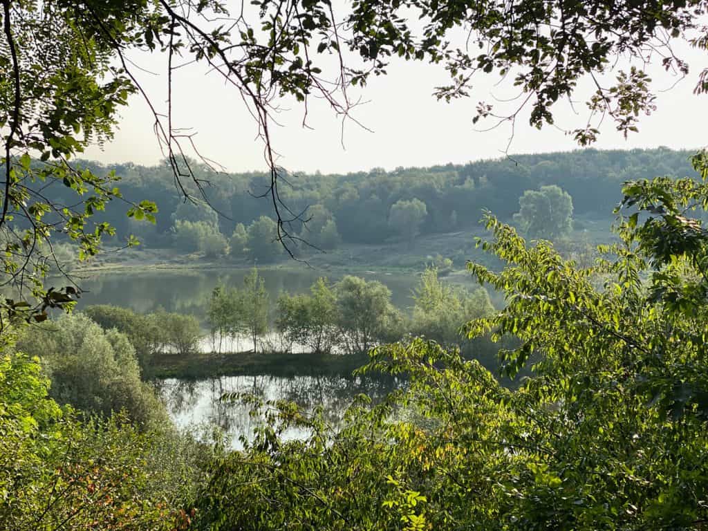 Naturschutzgebiet Am Hornpottweg Leverkusen - Walk and Wonder