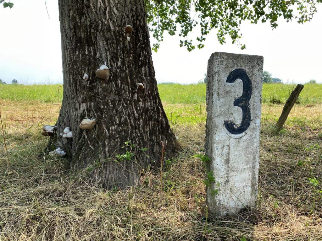 Urdenbacher Kämpe - Wanderung zum Rhein - Walk & Wonder