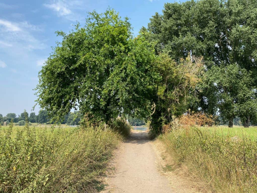 Düsseldorf - Auenlandschaft der Urdenbacher Kämpe - Walk & Wonder