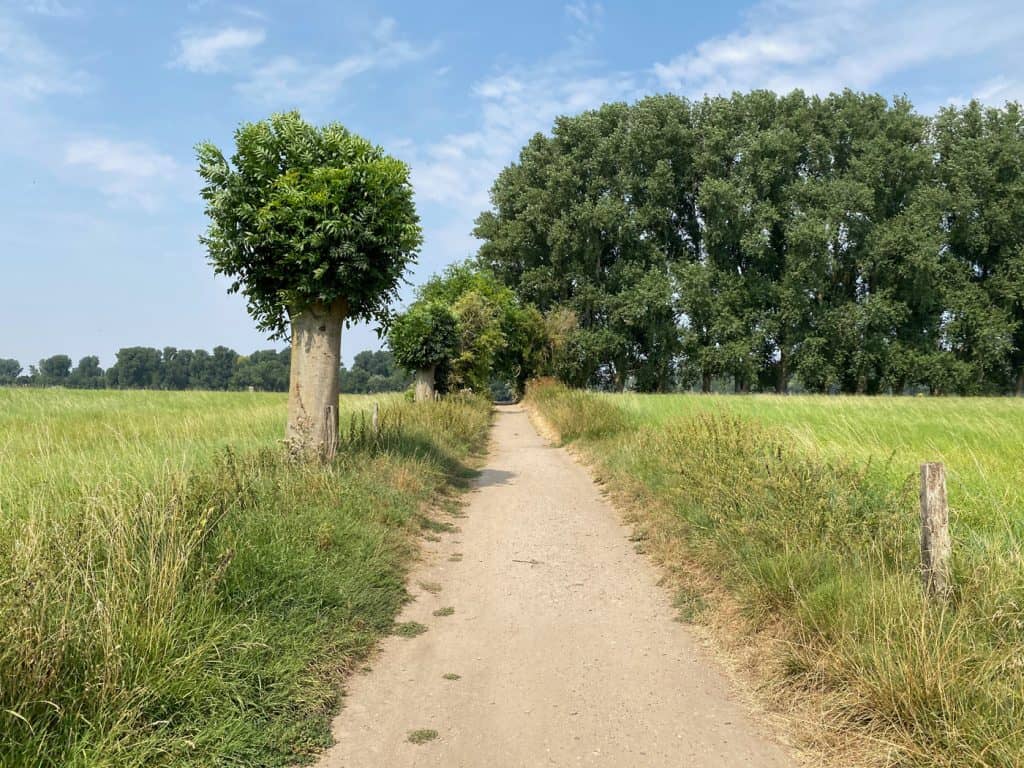 Urdenbacher Kämpe - Wanderung zum Rhein - Walk & Wonder