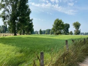 Urdenbacher Kämpe - Wanderung zum Rhein - Walk & Wonder