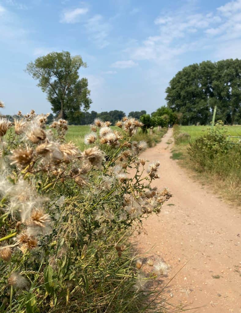 Düsseldorf - Auenlandschaft der Urdenbacher Kämpe - Walk & Wonder