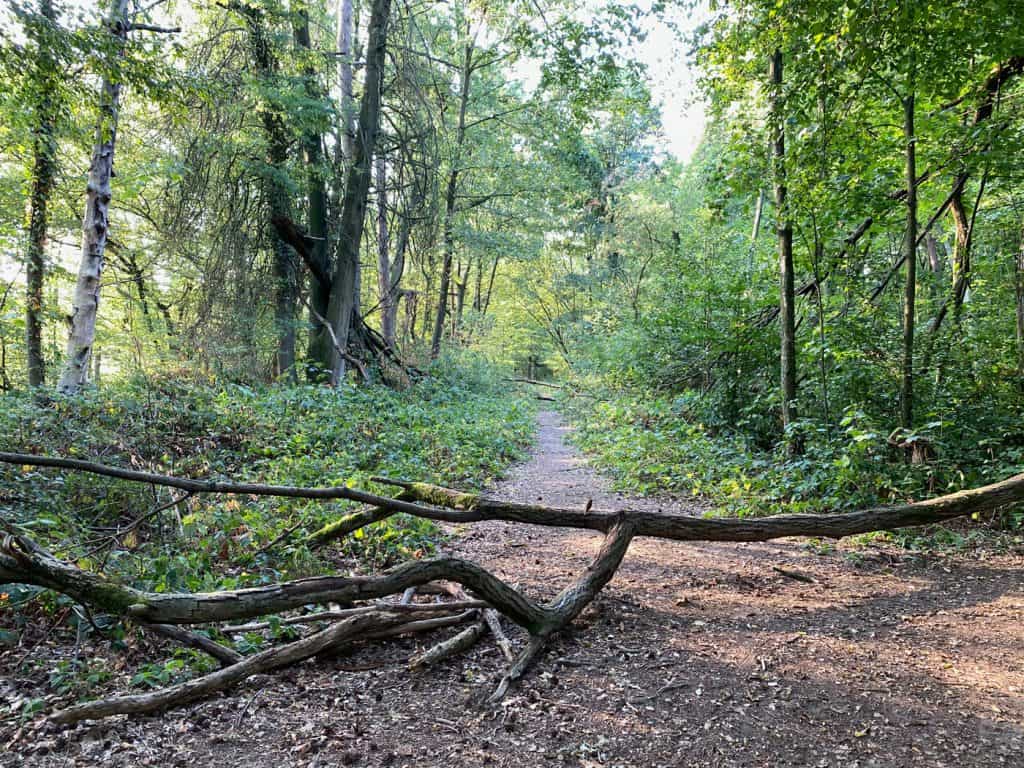 Naturschutzgebiet Am Hornpottweg Leverkusen - Walk and Wonder