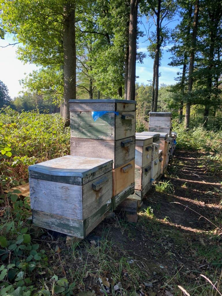 Bienenstöcke Liederweg - Walk and Wonder