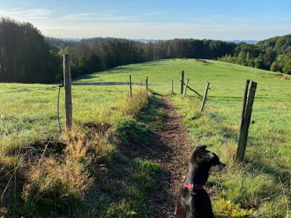 Wanderung Hohkeppel - Walk and Wonder