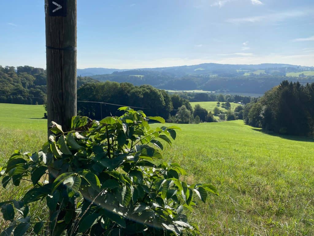 Blick auf das Aggertal - Walk and Wonder