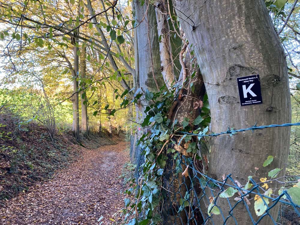 Bergischer Weg Muchensiefen - Walk and Wonder