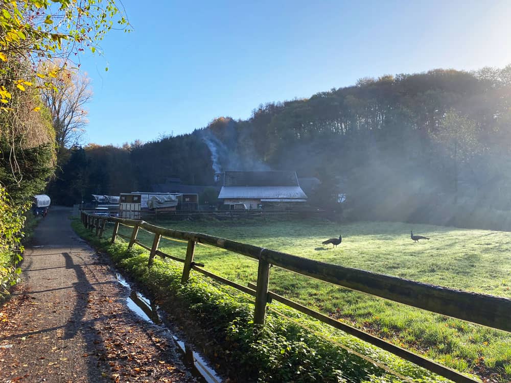 Gammersbacher Mühle - Walk and Wonder