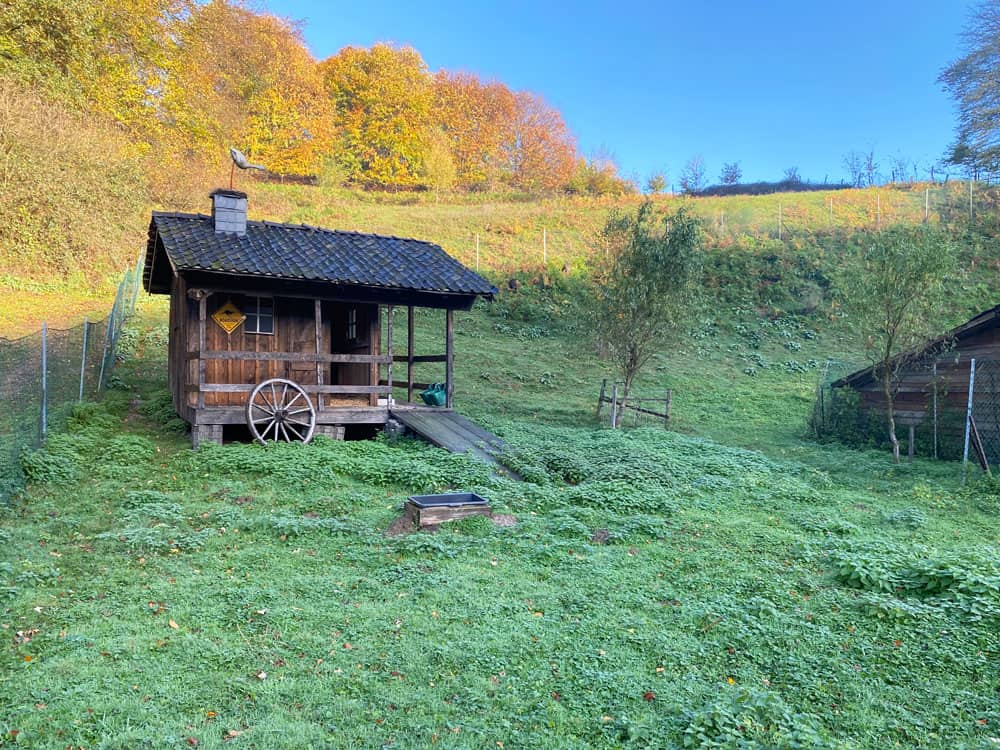 Gammersbacher Mühle - Walk and Wonder