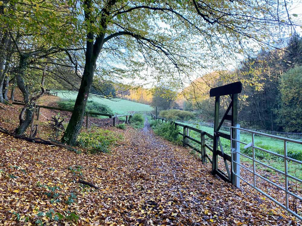 Bergischer Weg Muchensiefen - Walk and Wonder