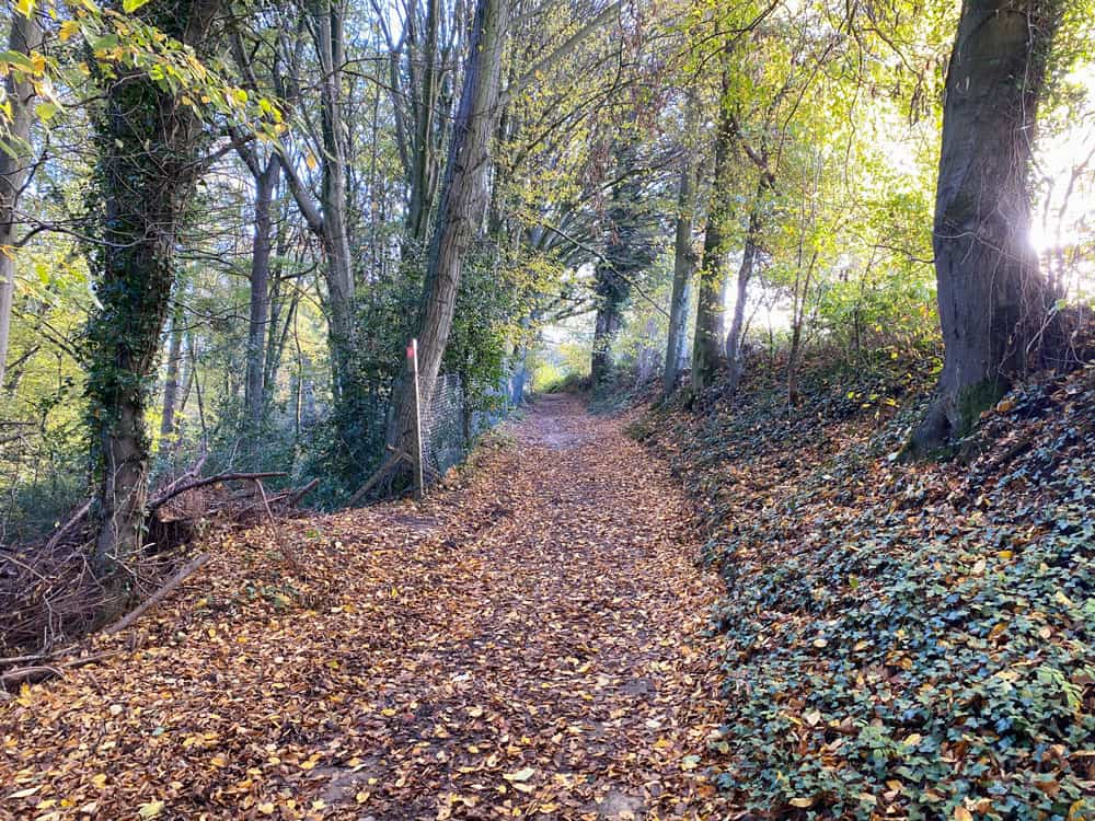 Oberscheid Wanderung im Bergischen Land - Walk and Wonder